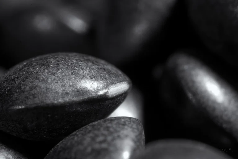 Suchá černá čočka beluga před vařením; detail suroviny.