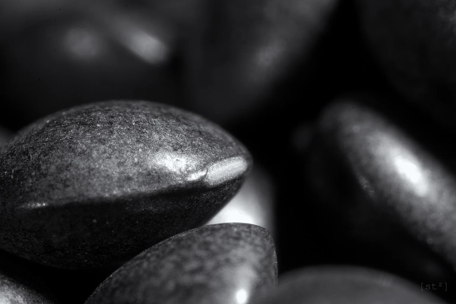 Suchá černá čočka beluga před vařením; detail suroviny.