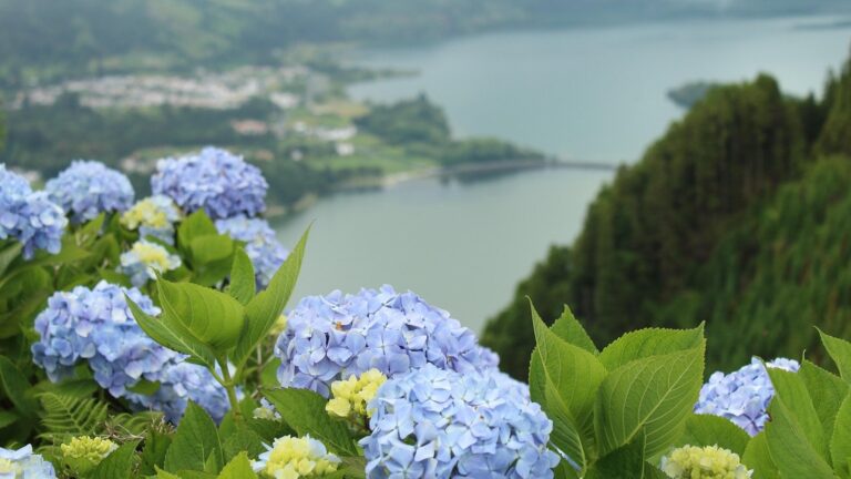 Jezera Sete Cidades v sopečné kaldeře na ostrově São Miguel